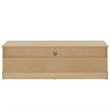 Safavieh Shafa Wood Sideboard/Media Stand in Natural / Brass