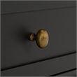 Safavieh Shafa Wood Sideboard/Media Stand in Black / Brass