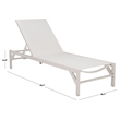 Safavieh Stanley Aluminum Chaise Lounge in White / White