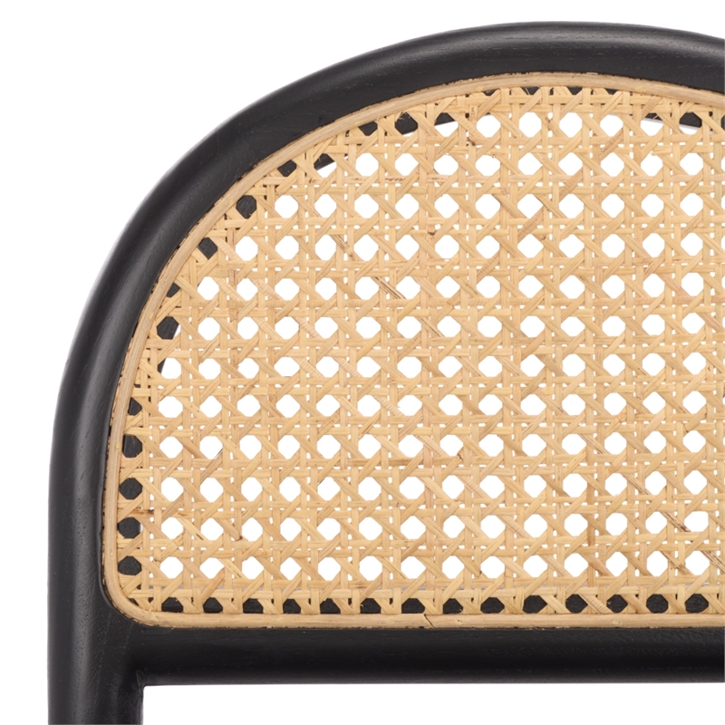 Safavieh Laylie Rattan and Wood  Counter Stool  in Black / Black