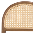 Safavieh Laylie Rattan and Wood Counter Stool in Medium Oak / White