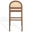 Safavieh Laylie Rattan and Wood Counter Stool in Medium Oak / White