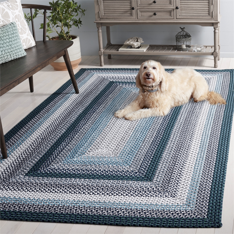 Safavieh Braided 6'-0