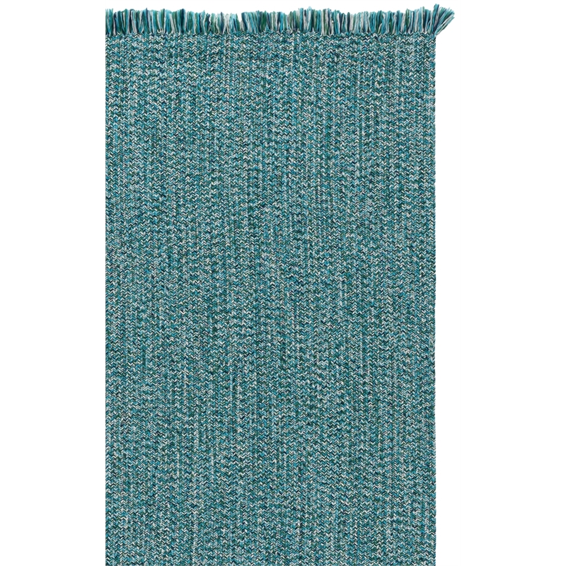Safavieh Braided 300 6'-0
