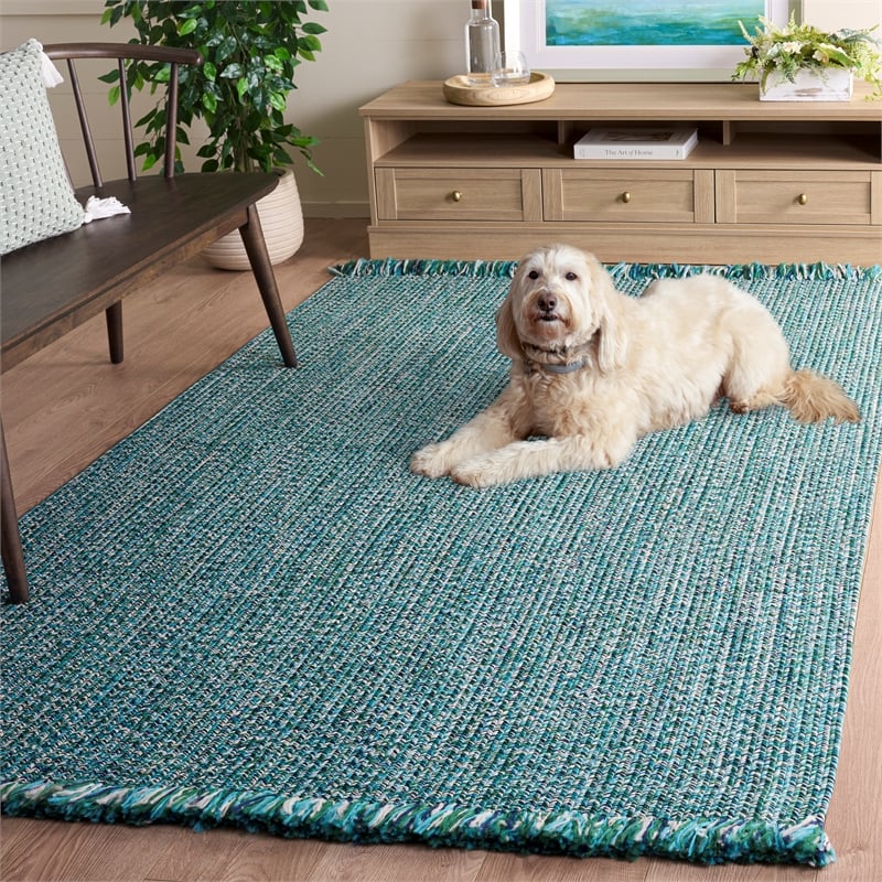 Safavieh Braided 300 6'-0