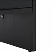 Safavieh Arsenio 4 Door 2 Shelf Wood Sideboard in Black