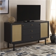 Safavieh Piran2 Door 3 Drawer Wood Sideboard/Media in Black / Gold