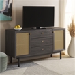 Safavieh Piran 2 Door 3 Drawer Wood Sideboard/Media in Black / Gold