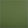 Safavieh Bonti Wood Accent Table in Green