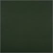 Safavieh Starlyn Wood Accent Table in Green