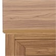 Safavieh Sondra 2 Drawer 1 Shelf Wood Console in Oak