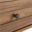 Safavieh Sondra 2 Drawer 1 Shelf Wood Console in Oak