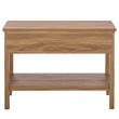 Safavieh Sondra 2 Drawer 1 Shelf Wood Console in Oak