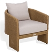 Safavieh Donya Wicler Aluminum Patio Chair in Natural / Beige