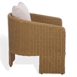 Safavieh Donya Wicler Aluminum Patio Chair in Natural / Beige