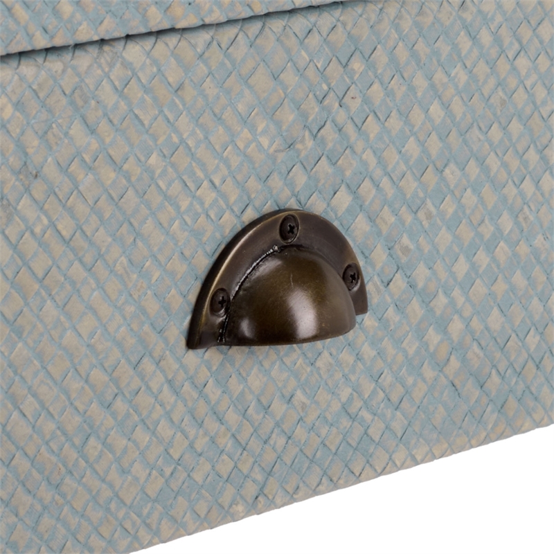 Safavieh Apis 2 Drawer Wood Console Table in Light Blue