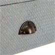 Safavieh Apis 2 Drawer Wood Console Table in Light Blue