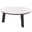 Safavieh Arkady Round Marble  and Wood Coffee Table in White / Black