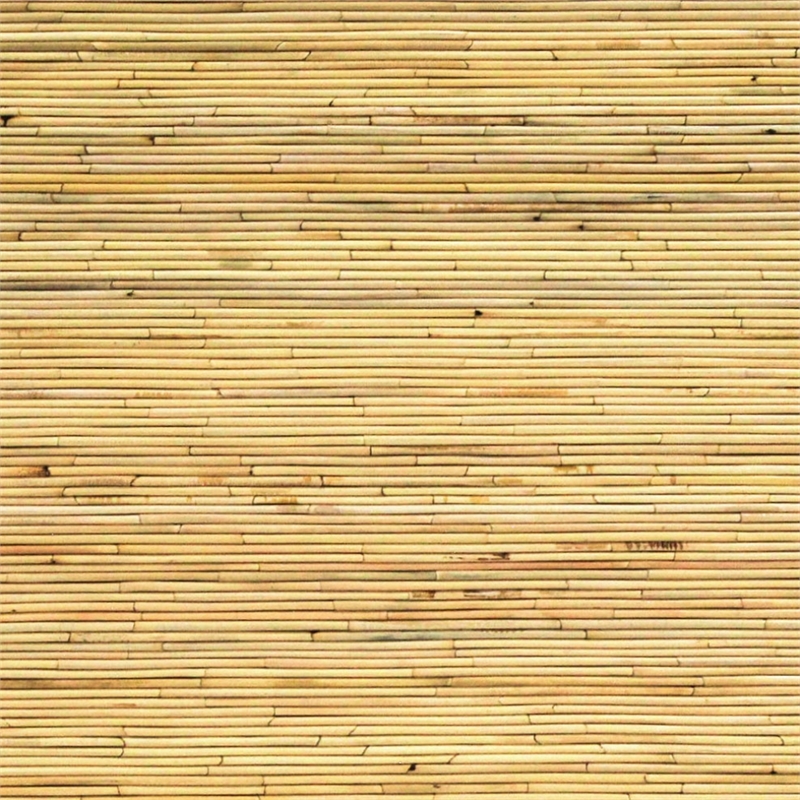 Safavieh Maryellen Rattan Coffee Table in Natural
