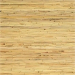 Safavieh Maryellen Rattan Coffee Table in Natural