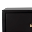 Safavieh Zack 6 Drawer Wood Dresser in Black / Brass