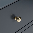 Safavieh Zack 6 Drawer Wood Dresser in Navy / Brass