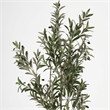 Safavieh Faux 71'' Plastic Olive Tree in Green / Black