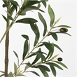 Safavieh Faux 71'' Plastic Olive Tree in Green / Black