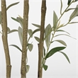 Safavieh Faux 71'' Plastic Olive Tree in Green / Black
