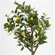 Safavieh Faux 59'' Plastic Lemon Tree in Green / Black
