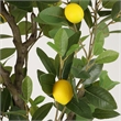 Safavieh Faux 59'' Plastic Lemon Tree in Green / Black