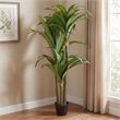 Safavieh Faux 59'' Plastic Dracaena Tree in Green / Black