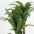 Safavieh Faux 59'' Plastic Dracaena Tree in Green / Black