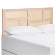 Safavieh Nariely Rattan Headboard in White