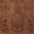 Safavieh Josephina Burl Wood Nightstand in Dark Walnut