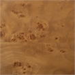 Safavieh Celestanno Wood Burl Bar Cabinet in Brown / Silver