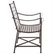 Safavieh Caledonia Iron Lounge Chair Set 2 in Brown
