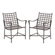 Safavieh Caledonia Iron Lounge Chair Set 2 in Brown