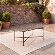 Safavieh Caledonia Iron Coffee Table in Brown