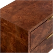 Safavieh Francene Burl Wood Nightstand in Walnut