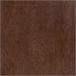 Safavieh Frederick 2 Drawer Wood Nightstand in Dark Walnut