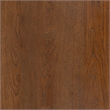 Safavieh Hannaleigh 2 Drawer Wood Nightstand in Dark Walnut