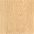 Safavieh Hannaleigh 2 Drawer Wood Nightstand in Oak
