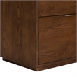 Safavieh Gabribecca 2 Drawer Wood Nightstand in Walnut