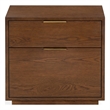 Safavieh Gabribecca 2 Drawer Wood Nightstand in Walnut