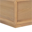 Safavieh Zeus Rectangle Wood Coffee Table in Natural