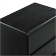 Safavieh Alanna 2 Drawer Wood Nightstand in Black