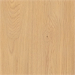 Safavieh Gabribecca 2 Drawer Wood Nightstand in Oak
