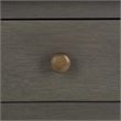 Safavieh Tami Elm Wood End Table in Ash Grey