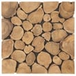 Safavieh Jarrett Teak Stand in Brown
